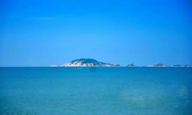 上海女排3-1天津队，决赛占据先机，王之腾大吼庆祝，天津队首败