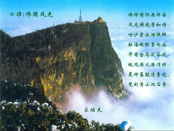 莱阳市应急管理局：开展美德信用宣传活动